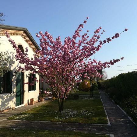 Casa Pianta 호텔 카발리노 외부 사진