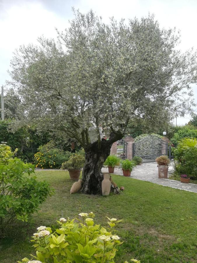 Casa Pianta 호텔 카발리노 외부 사진